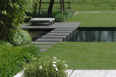 ブレーメンにあるコンテンポラリースタイルのおしゃれな庭の写真
