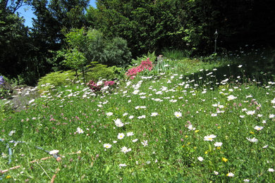 Country Garten in Sonstige