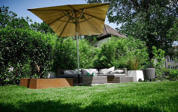 Die besten Sichtschutzpflanzen für Garten und Balkon