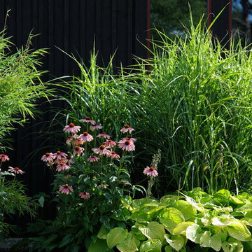 Gartenfotos