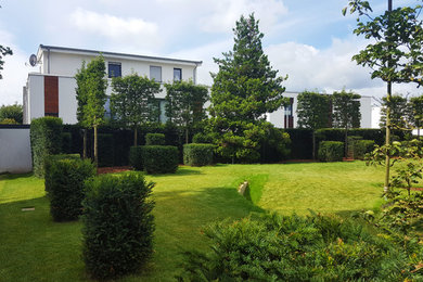 Moderner Garten in Düsseldorf