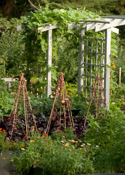 Lantlig Trädgård by The New York Botanical Garden