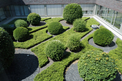 Exemple d'un jardin tendance.