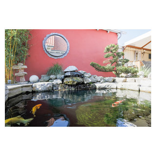 KoiTeich mit Schwimmteich auf engstem Raum Asiatique Jardin
