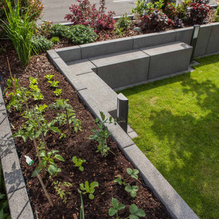 Moderner Garten mit Betonplatten