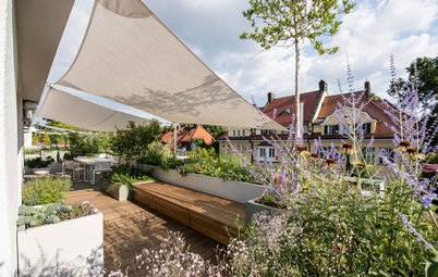 Gartenprofi verwandelt Münchner Dachterrasse zum Blütenmeer