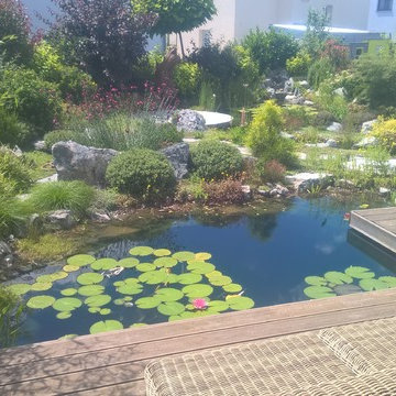 natural pond, Teichlandschaft