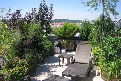Esempio di un piccolo giardino tradizionale esposto a mezz'ombra sul tetto con un giardino in vaso