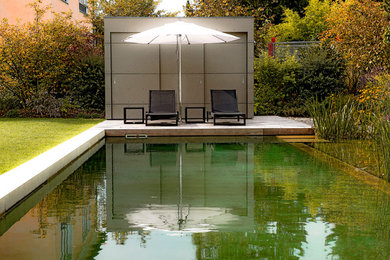 This is an example of a small contemporary garden in Munich.