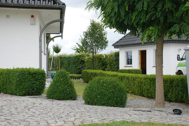 This is an example of a contemporary garden in Other with a garden path and natural stone paving.