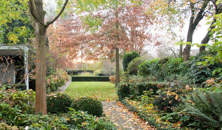 Kleine Fluchten: 30 stimmungsvolle Herbstgärten aus aller Welt