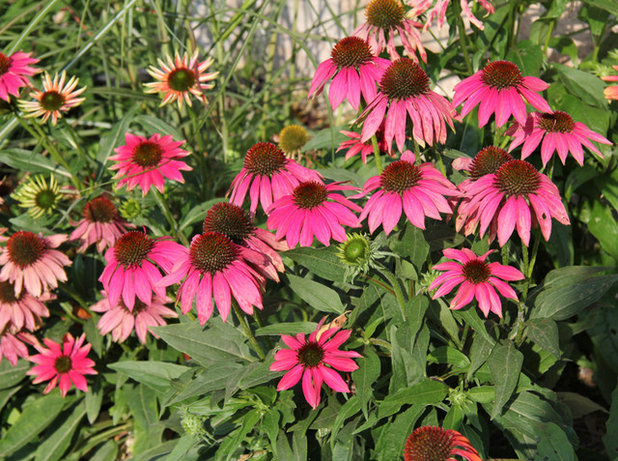 Garten by Blaurock Landschaftsarchitektur