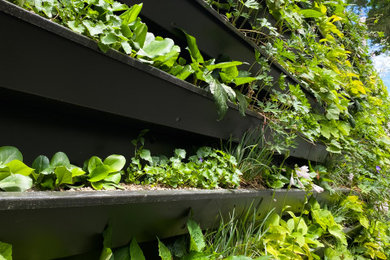 Diseño de jardín contemporáneo con muro de contención