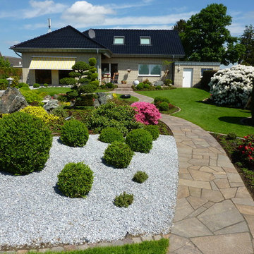 Rhododendron und Bux Garten