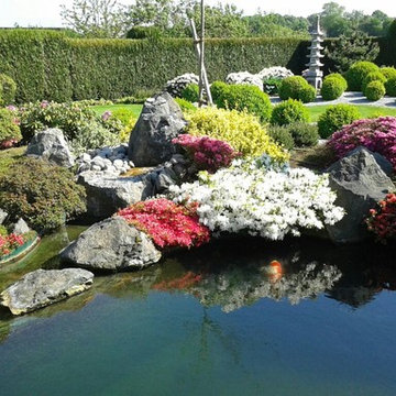Rhododendron und Bux Garten