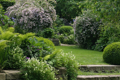 Imagen de jardín contemporáneo de tamaño medio en verano