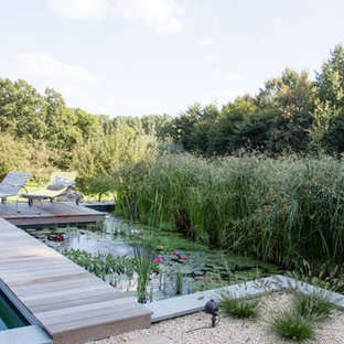 Klassischer Garten mit Teich und Dielen in Sonstige