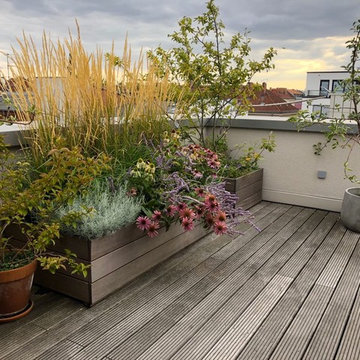 Sonnige Terrasse und Dachgarten