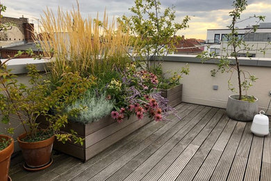 Moderner Dachgarten im Herbst mit Auffahrt, Kübelpflanzen und direkter Sonneneinstrahlung in Berlin