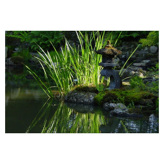 Teichgarten im Zenkloster Liebenau Asian Landscape Hanover by