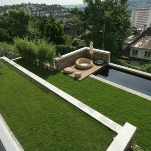 Foto di un piccolo laghetto da giardino design esposto in pieno sole sul tetto in estate