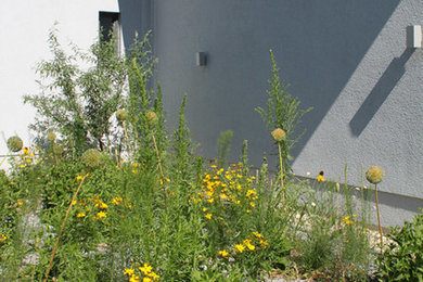 Mittelgroßer Moderner Vorgarten mit direkter Sonneneinstrahlung und Betonboden in Berlin