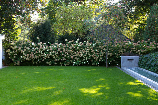 Modern Garten by Borgmann Gärtner von Eden