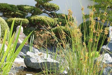 ハノーファーにあるアジアンスタイルのおしゃれな庭の写真