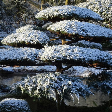 Winter im ZEN-Kloster Liebenau
