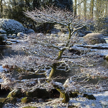 Winter im ZEN-Kloster Liebenau