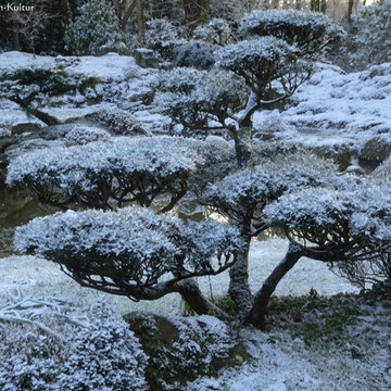 Winter im ZEN-Kloster Liebenau