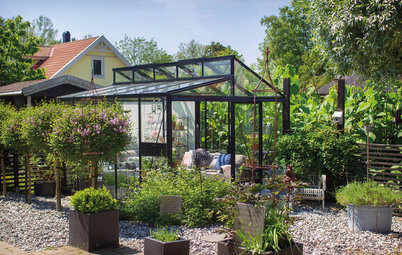 Ska du bygga växthus eller orangeri? Tänk på dessa saker först