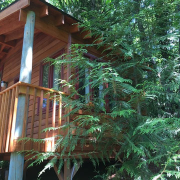 A Tiny Cedar House in the woods