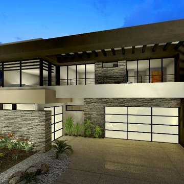 Contemporary Garage