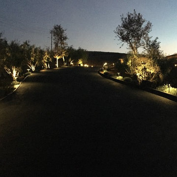 Grand driveway entrance lighting