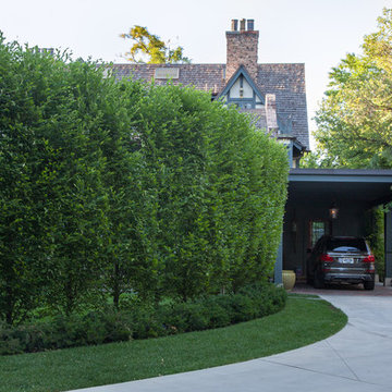 Driveway With Hedges