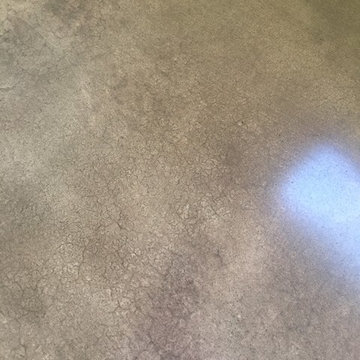Polished and Stained Concrete Floor