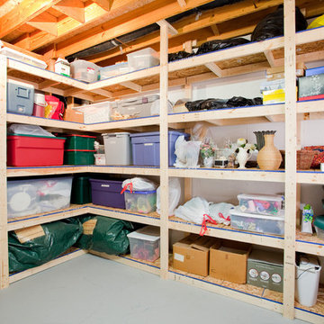 Traditional Basement Retreat