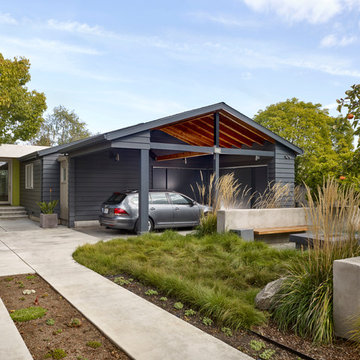Waverley Street I Residence