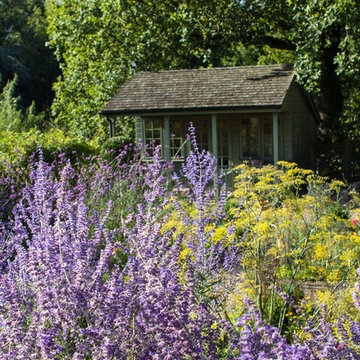 Family garden at one with nature