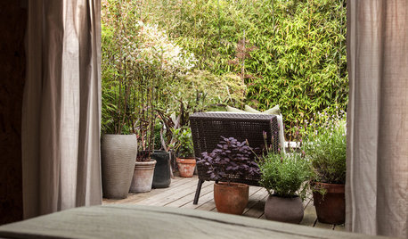 10 Ways to Turn your Urban Garden Into a Dreamy Oasis
