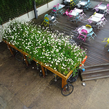 Green Roof Bicycle Shed