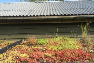 Small rural detached garden shed in Other.