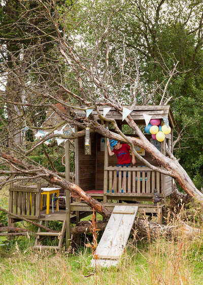 Shed by Chris Snook