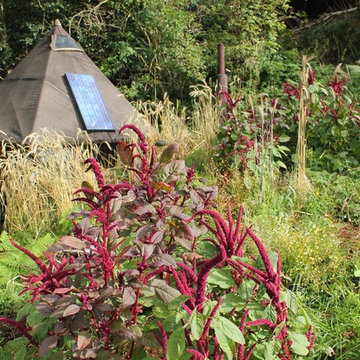 PentaPod Mk 1 Amongst the Amaranth and Rye in Summer