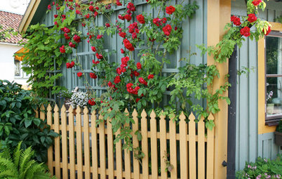 10 idéer från små svenska trädgårdar