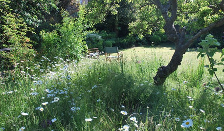 Yard of the Week: Seasons of Blooms in an Idyllic English Garden