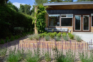 Inspiration for a medium sized midcentury back full sun garden for summer in Sussex with concrete paving.