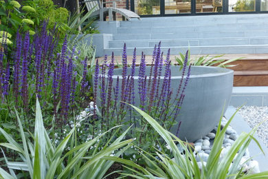 Photo of a medium sized contemporary back partial sun garden for summer in London with natural stone paving.