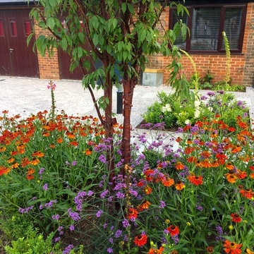 A front garden full of colourgard